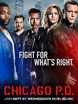 芝加哥警署第4季(全集)